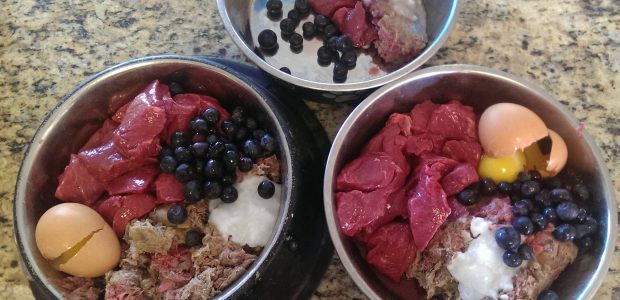 raw diet raw diet