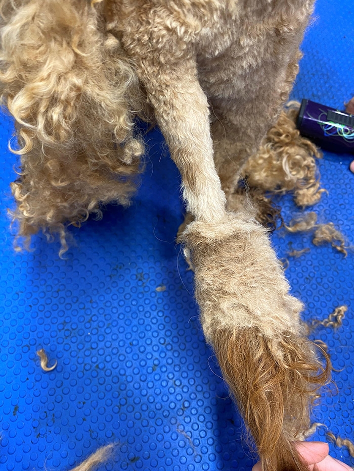Matted 3