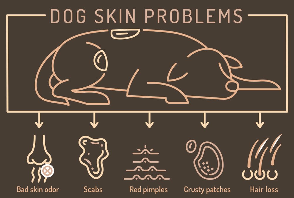 Why Skin Health Matters
