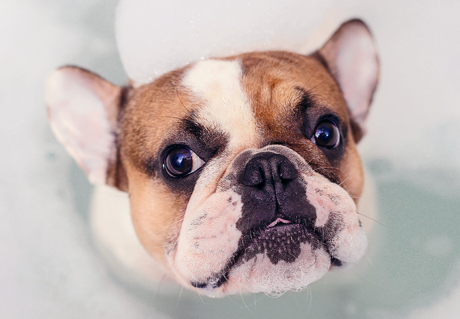Ozone Spa Therapy: The Simple Science